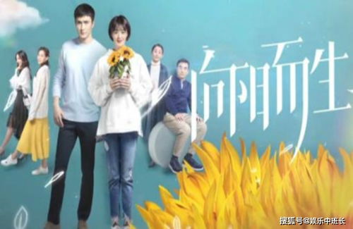 绽放短剧大结局完整版，绽放的美丽之花--第1张