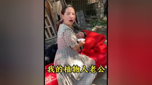 新婚丈夫变植物人 新婚夜植物人老公睁眼了短剧大结局完整版 --第1张