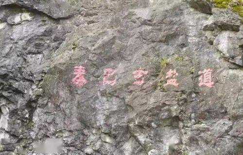 古今首富之王的传奇人生 txt全本下载--第1张