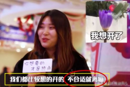 离婚后前妻后悔，悔恨终身的短剧大结局资讯--第1张