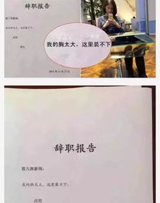 老板我要辞职图片 老板我要离职创业长篇短剧大结局资讯 --第1张