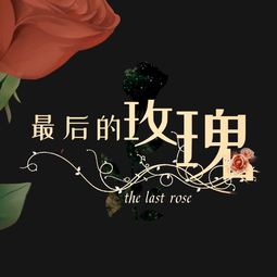 他的玫瑰歌词，黑玫瑰大结局--第1张