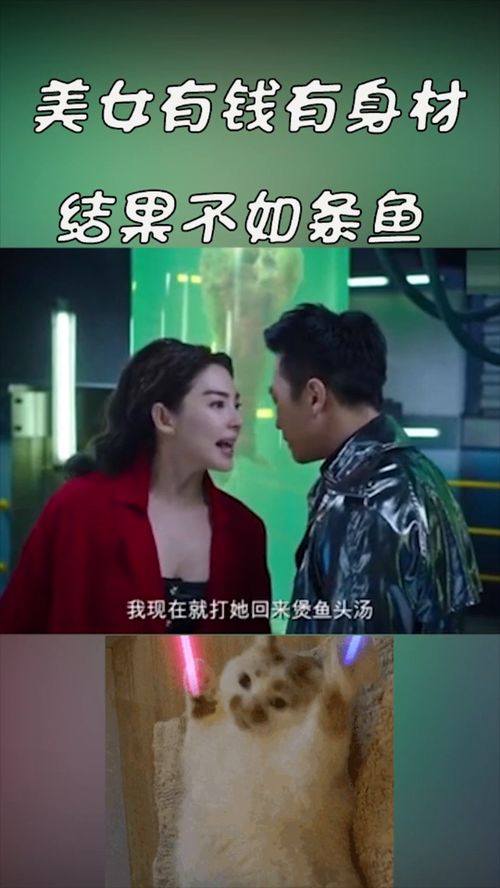 你是我的解药短剧大结局，爱情终成美好--第1张