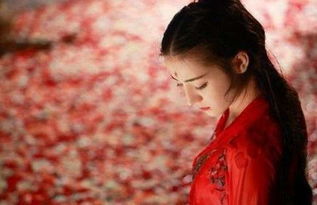 裴爷娇妻，惹不得短剧大结局，夫人又飒又撩小说--第1张