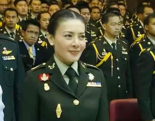 双面王妃许若彤短剧大结局，剧情解析与在线观看指南--第1张