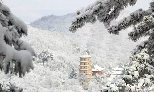 春雪落下的诗意与短剧大结局，雪落春生--第1张