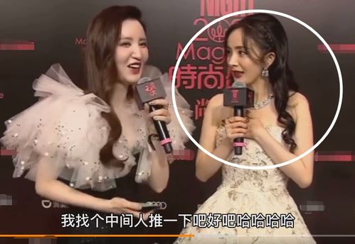 冷战八个月后的何去何从--第1张