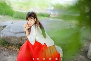 洛少离婚吧免费阅读 离婚后洛少宠我太狂野短剧大结局资讯 --第1张