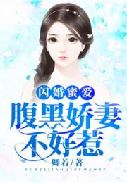 盛总裁小说，盛总的闪婚娇妻大结局，爱情终成正果--第1张