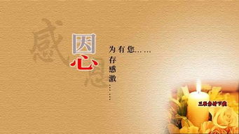 家和万事兴46集，大结局热血沸腾，家和万事兴！--第1张