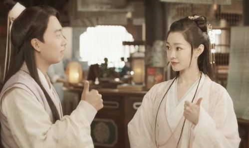 逍遥赘婿大结局剧情介绍--第1张