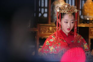 落跑新娘嫁对郎短剧大结局，爱情终成，幸福美满--第1张