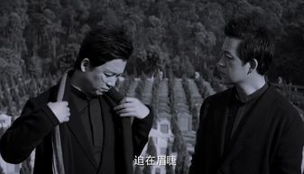 在他深情中陨落短剧大结局剧情 在他深情中陨落小说大结局 --第1张