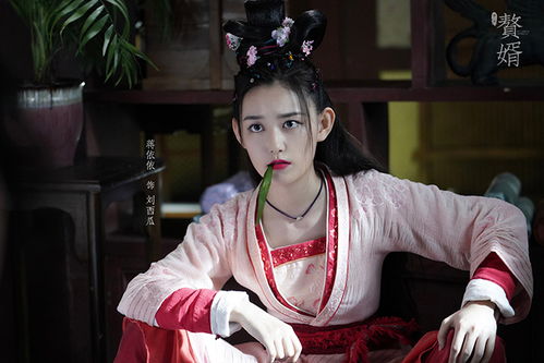赘婿20大结局--第1张