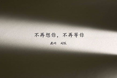新版爱你不问归期短剧大结局免费观看 新版爱你不问归期短剧大结局免费观看下载 --第1张