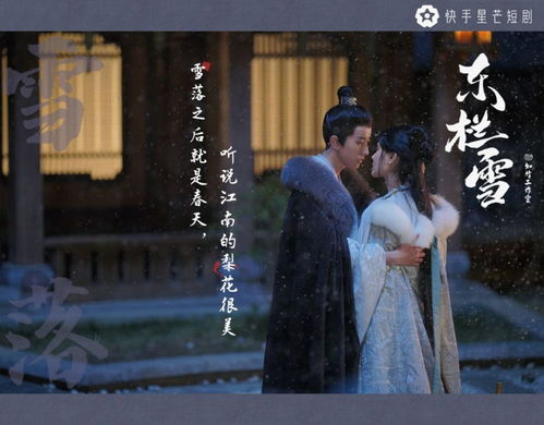 宫墙雪短剧大结局，免费观看宫墙下雪--第1张