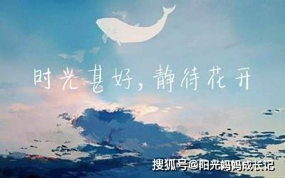 时光 静待花开 时光静待花开 --第1张