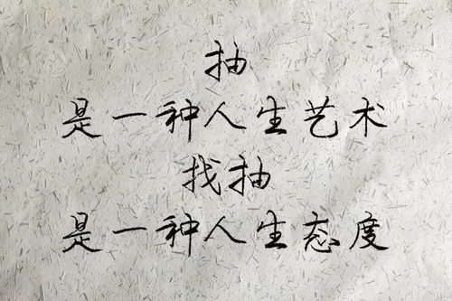 陆总别虐了，夫人才是白月光大结局免费观看--第1张
