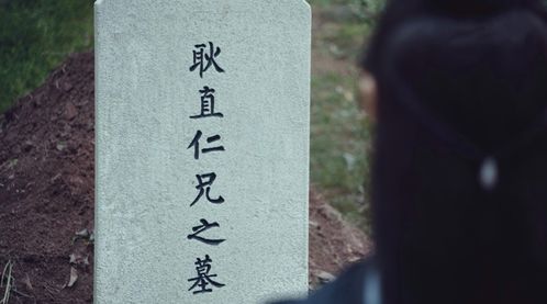赘婿大结局细节解析图片_赘婿的大结局什么意思--第1张
