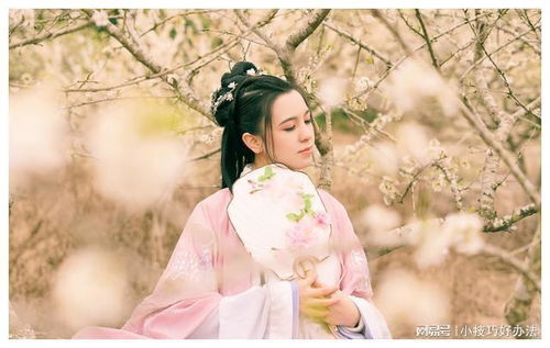 穿越才女第一人短剧免费观看，大结局免费观看视频--第1张