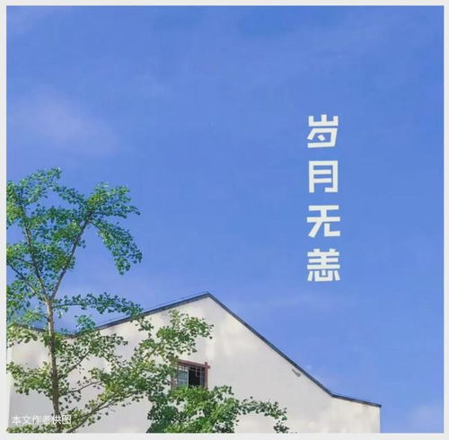 时光清浅，静待花开，时光静待花开短剧大结局免费观看--第1张