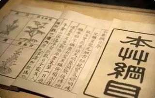 人间风流假太监短剧大结局免费观看 人间风流客简谱 --第1张