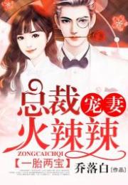 一胎两宝，总裁爹地请签收免费阅读大结局版--第1张