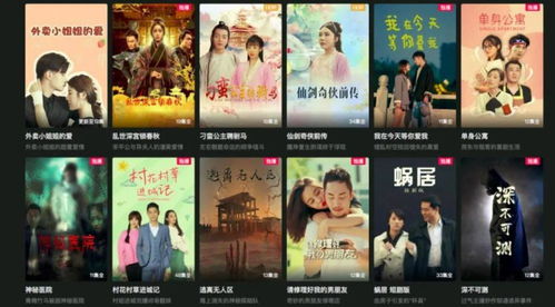 人生大赢家，长篇版短剧大结局免费观看--第1张