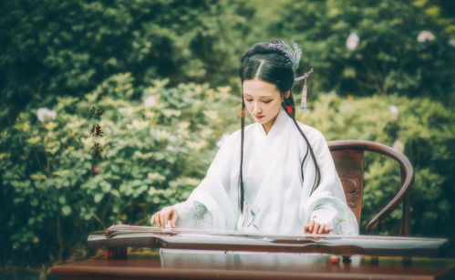 南风知君意，藕花洲长篇短剧大结局在线观看--第1张