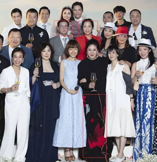 厉总离婚后，新夫人竟是前夫的妹妹！--第1张