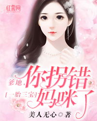 一胎三宝替孕免费阅读，一胎三宝替嫁妈咪放肆宠大结局在线观看--第1张