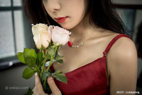 我的四个美女总裁老婆完结短剧大结局信息 我的四个美女总裁老婆完结短剧大结局信息在线观看 --第1张
