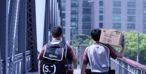 快递小哥逆袭人生 快递员逆袭人生短剧大结局 --第1张