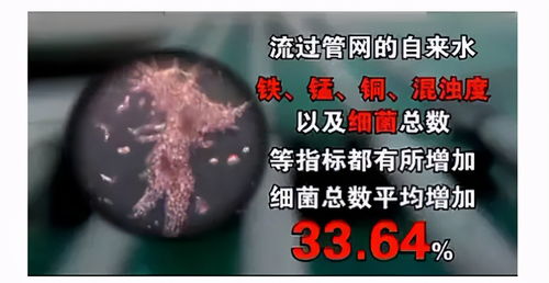 替身保镖说她不干了，替身保镖第一季大结局信息--第1张