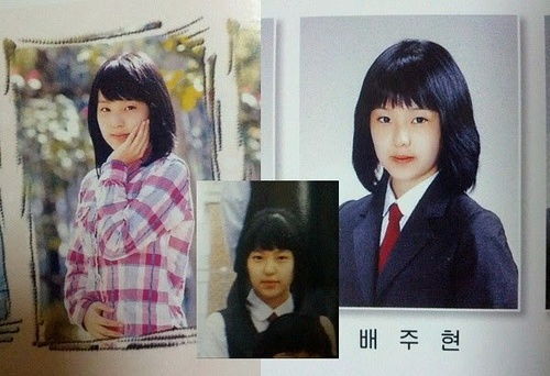 冰山美娇妻短剧大结局，冰山美人在线复仇--第1张