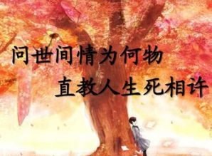 陆少他情深似毒白月光与金丝雀短剧大结局哪里看 陆少的白月光转正了小说 --第1张