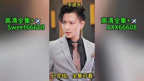 高手短剧终--第1张