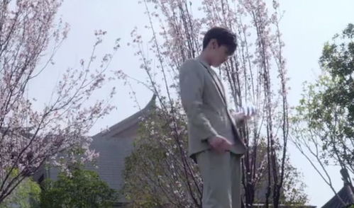 新如此神秘的她短剧大结局在线观看免费完整版--第1张