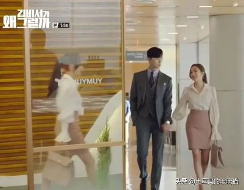 向秘书为何那样短剧大结局完整版在线观看 --第1张