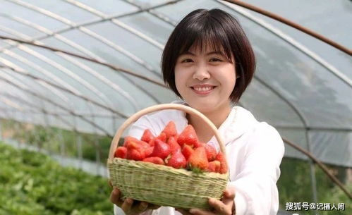 她比草莓还甜免费阅读完整版在线观看--第1张