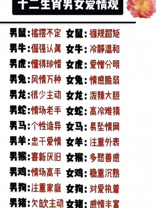 12生肖星座对照表大全--第1张
