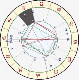 星座命盘十二宫解读 星座命盘十二宫查询，揭秘你的星座秘密 --第1张