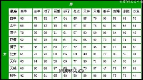 摩羯女与哪个星座男最配，摩羯女最佳配对星座男--第1张
