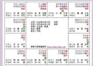 紫微斗数命盘详解，揭秘命运的无尽奥秘--第1张