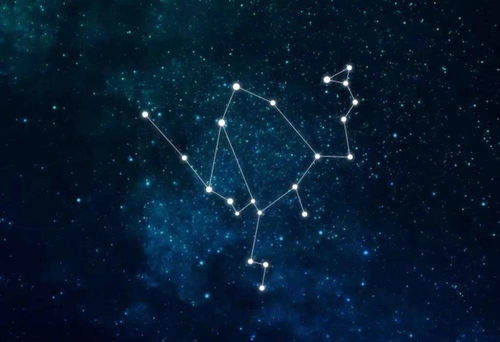 蛇夫座的人的神秘魅力，哪月出生的人更独特？--第1张
