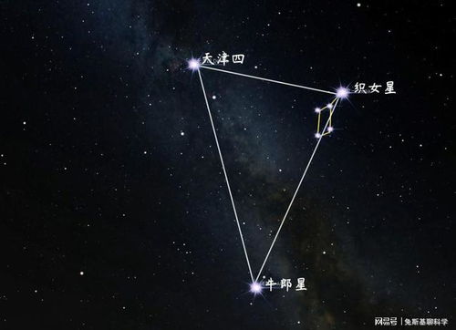 牵牛星是牛郎星吗？牵牛星和牛郎星的关联及原因--第1张