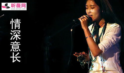 歌曲大全100首老歌免费听 歌曲大全100首老歌 --第1张