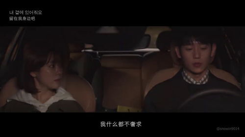 最近中文字幕mv在线视频  --第1张