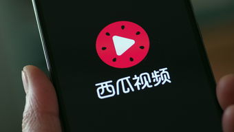 拔萝卜高清视频大全，西瓜视频中的免费观看资源--第1张