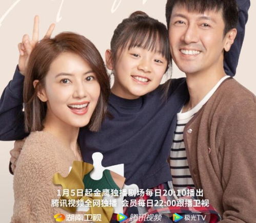 电视剧全集，完美伴侣--第1张